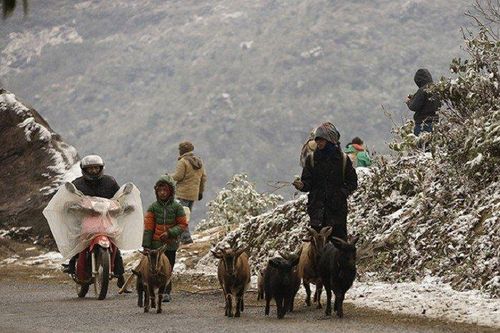 Không khí lạnh tràn về, Bắc Bộ rét đậm rét hại, có nơi xuống 8 độ C