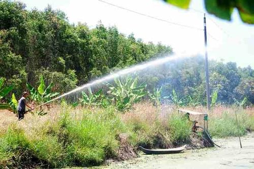 Phòng chống cháy rừng tràm Cà Mau mùa khô hạn