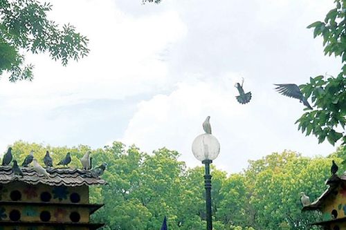 Về đâu?