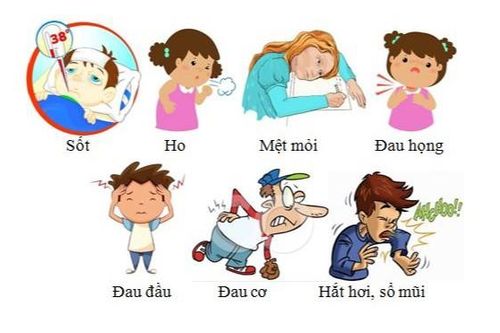 Cách phòng chống cúm A (H1N1) - loại virus từng là đại dịch quy mô toàn cầu