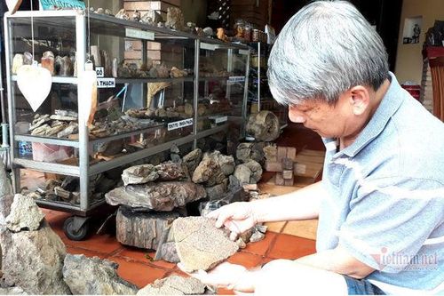 Bảo tàng hóa thạch có một không hai của 'gã khùng' nơi phố núi