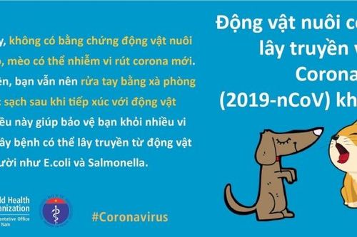 Bộ Y tế giải đáp thắc mắc về nCoV bằng hình ảnh