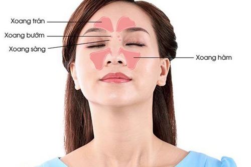 Cách dùng thuốc trị viêm mũi xoang