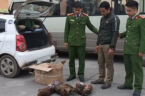 Những chiến sĩ chống tội phạm 'cổ cồn trắng'
