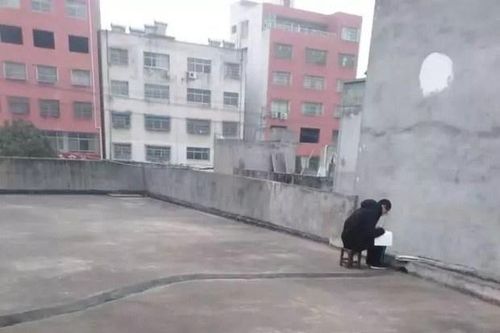 Lên sân thượng ké Wi-Fi hàng xóm để học bài giữa dịch cúm corona