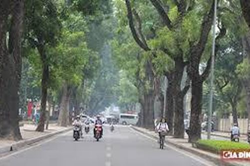 Đa phần ở mức trung bình