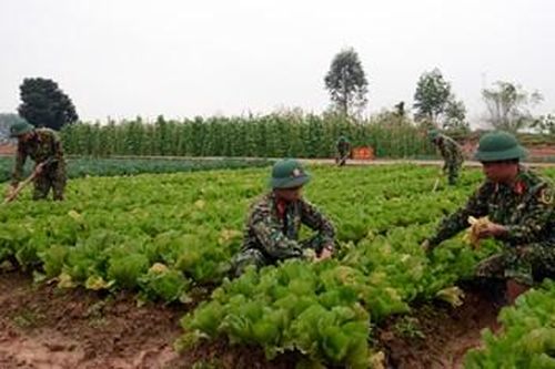 Bài 2: Quan tâm thiết thực, chăm lo chu đáo đời sống bộ đội