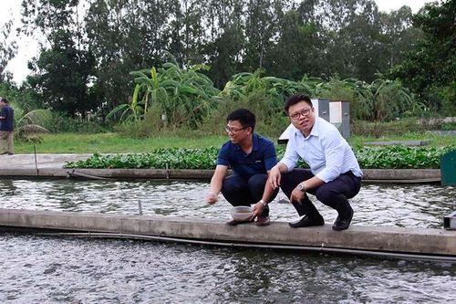 Anh em cùng đào con sông 'chảy ra vàng', dựng cơ nghiệp 300 tỷ đồng