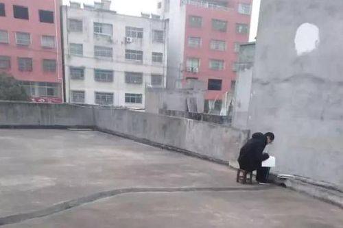 Được nghỉ học tránh virus Corona, cậu học sinh mỗi sáng lại lên sân thượng và lý do khiến ai cũng 'cay khóe mắt'