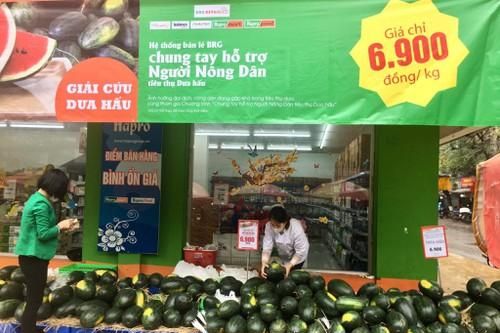 Hệ thống bán lẻ BRG hỗ trợ người nông dân tiêu thụ dưa hấu