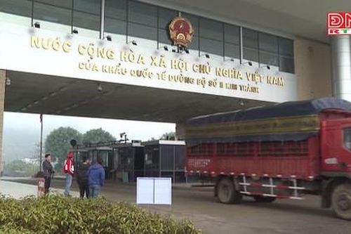 Dịch nCoV: Nỗ lực tìm giải pháp cho nông sản xuất khẩu