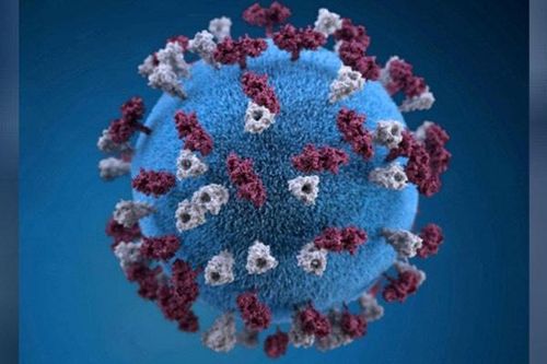 Tiến sĩ Y sinh học phân tử: Giải mã hệ gene nCoV có ý nghĩa lớn