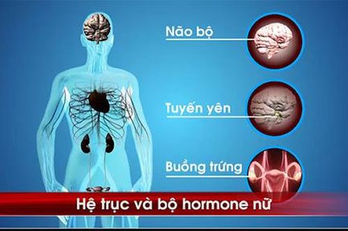 Sextoy: Lợi ít, hại nhiều