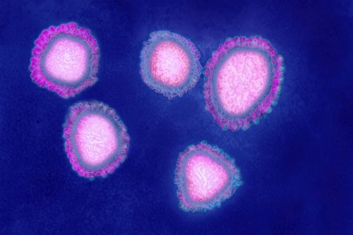 Phát hiện virus 'thần nước' mang bộ gen chưa từng được biết đến