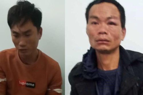 Hai anh em đầu độc hàng chục con chó, mèo