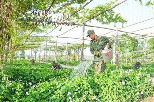Quân khu 9: Đẩy mạnh phong trào 'nuôi quân giỏi, quản lý quân nhu tốt'