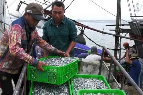 Ra khơi... 'hốt bạc'