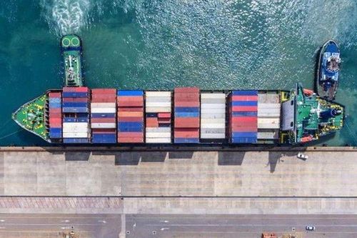 CPTPP một năm nhìn lại: Nhiều cơ hội mới cho doanh nghiệp Việt Nam và Canada