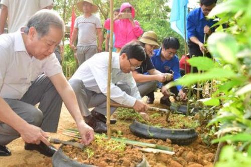 Dấu ấn 'Ngày Chủ nhật xanh' ở Thừa Thiên - Huế
