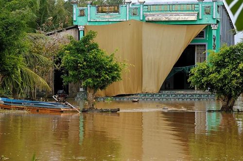 Triều cường dâng cao, nguy cơ tràn nhiều tuyến đê Năm Căn