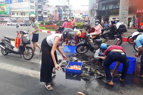 Hai người nước ngoài nhặt cá đổ trên đường Sài Gòn giúp người lạ