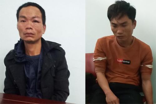 Thủ đoạn của 2 anh em, chó mèo ở Nghệ An chết hàng loạt