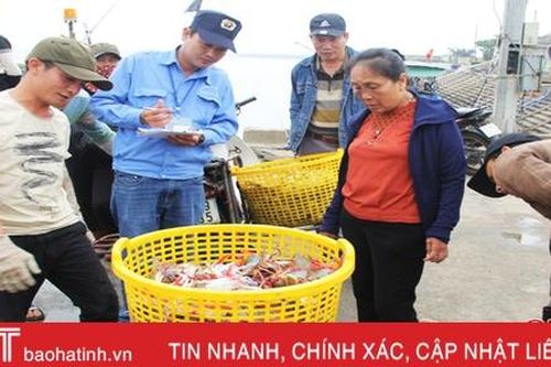 Thiếu đầu tư, các cảng cá Hà Tĩnh gặp khó trong khắc phục 'thẻ vàng'
