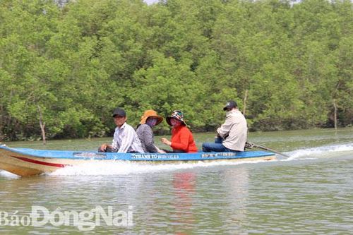 Nguồn lợi bền vững từ dịch vụ hệ sinh thái rừng