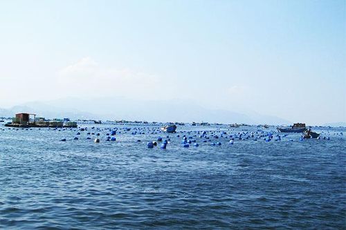 Quy định mức thu tiền sử dụng khu vực biển