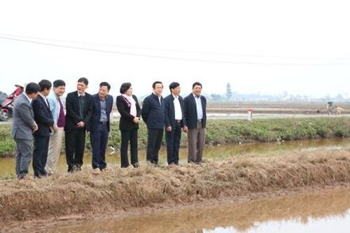 Đồng chí Phó Chủ tịch UBND tỉnh kiểm tra tình hình sản xuất nông nghiệp