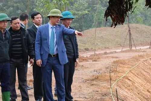 Kiểm tra công tác chỉnh trang Khu di tích lịch sử Đền Hùng