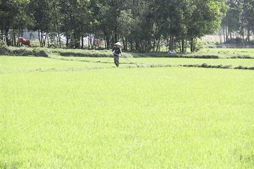 Gio Quang phát huy tiềm năng, lợi thế về sản xuất nông nghiệp