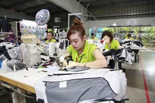 Nghị viện châu Âu bỏ phiếu phê chuẩn EVFTA: Việt Nam hưởng lợi gì?