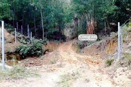 Hơn 350m hàng rào trên cao tốc La Sơn- Túy Loan bị tháo gỡ