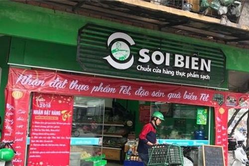 Sói Biển giải cứu tôm hùm