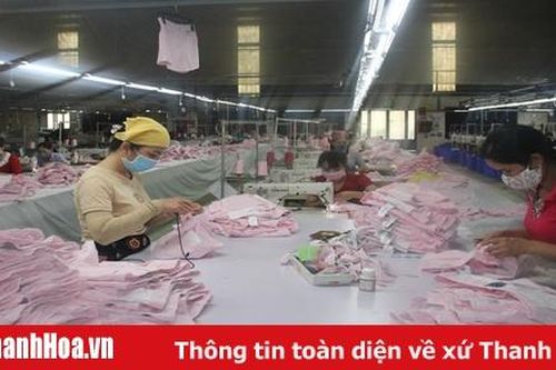 Phát triển doanh nghiệp: Số lượng cần đi đôi với chất lượng