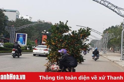 Ươm chồi cho những mùa sau