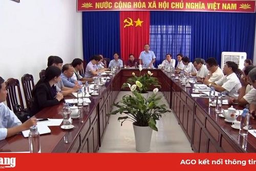 Phú Tân kêu gọi các doanh nghiệp chung tay tiêu thụ lúa, nếp cho nông dân