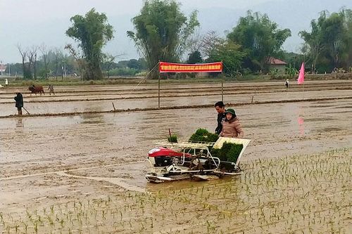 Cải thiện môi trường đầu tư, nâng cao năng lực cạnh tranh