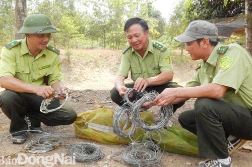 Thêm cơ chế bảo tồn rừng