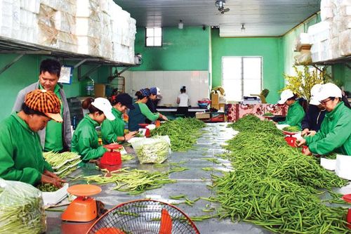 Năm đầu xây dựng huyện nông thôn mới kiểu mẫu