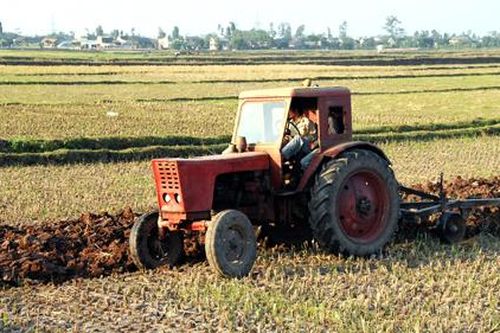 Kim Sơn: Tập trung cho sản xuất vụ đông xuân
