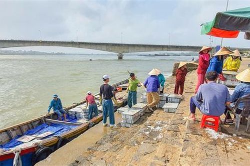 Cần đẩy nhanh tiến độ nạo vét cảng cá Cửa Tùng