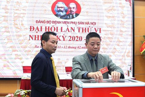 Quận Ba Đình: Tổ chức đại hội điểm tại Đảng bộ Bệnh viện Phụ sản Hà Nội