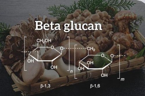 Hoạt chất 'vàng' giúp tăng cường hệ miễn dịch phòng ngừa dịch bệnh nCoV