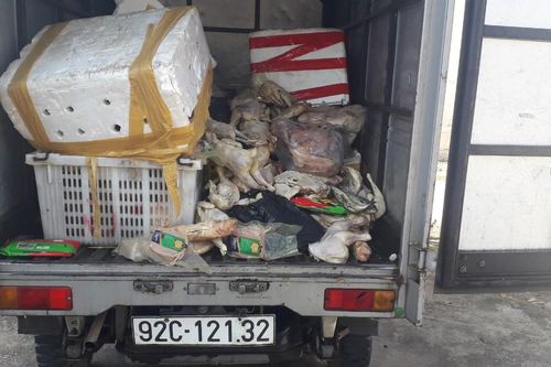 Bắt quả tang xe tải chở thịt đông lạnh thối rữa đổ ra môi trường