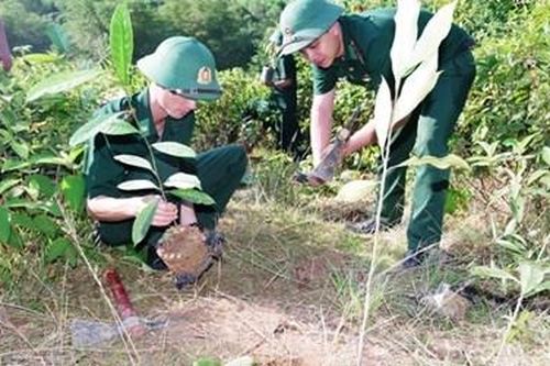 Bộ đội Biên phòng TP Đà Nẵng phát động Tết trồng cây Xuân Canh Tý 2020
