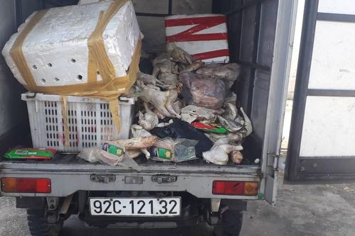 Chở gần 100kg thịt thối rữa lên cầu để đổ trộm