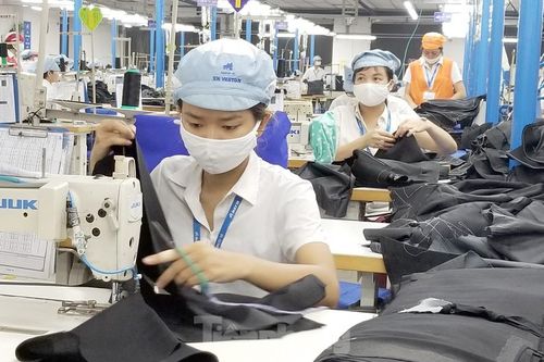 Khoảng 9.000 người lao động mất việc làm do Covid-19