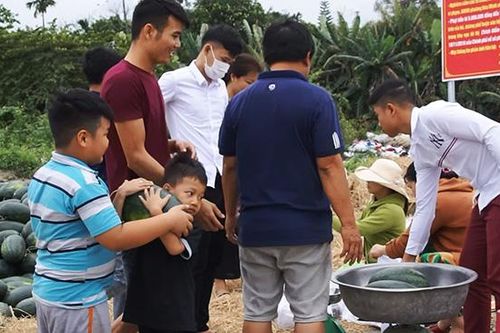 Dưa hấu rớt giá, dân Đà Nẵng chung tay giải cứu cho nông dân